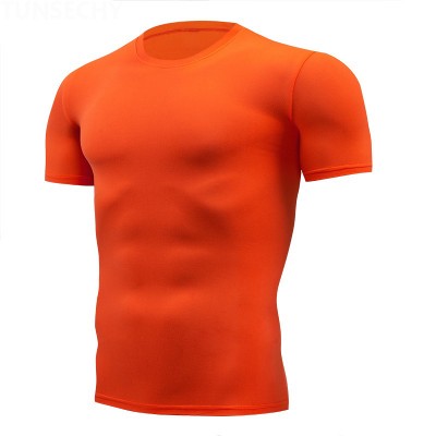 Hot Selling Plain T-shirts Men Gym Men's Organic T-shirts,Polyester Mens Basic Classic Sports Wear Casual T-shirt